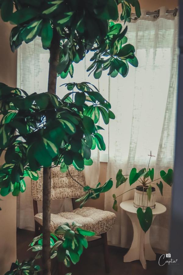 Pousada Villa Vecchia Канела Екстер'єр фото